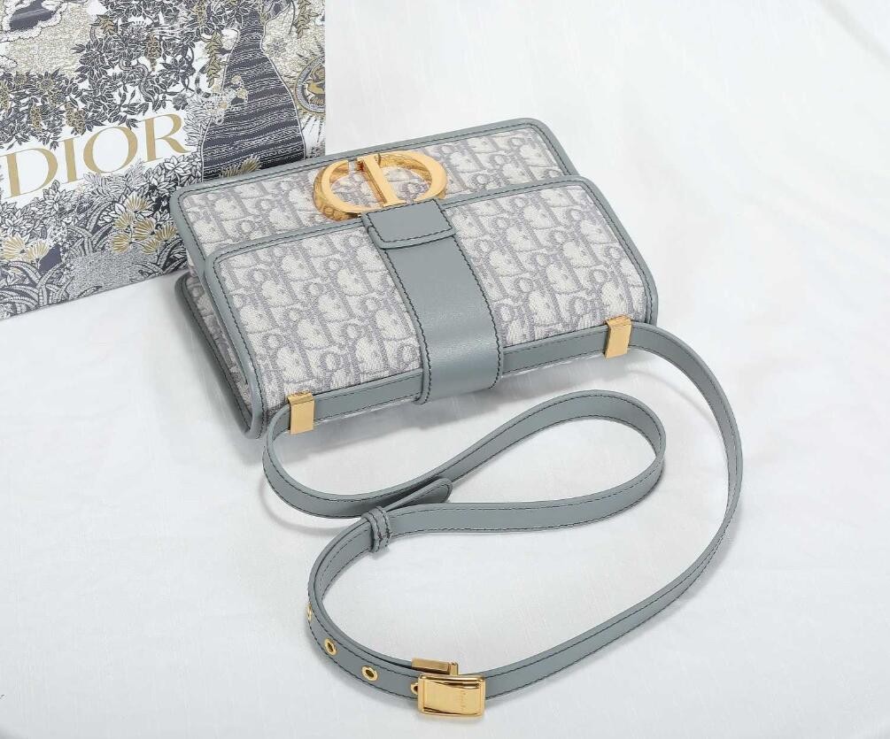 30 MONTAIGNE BAG Gray Dior Oblique Jacquard