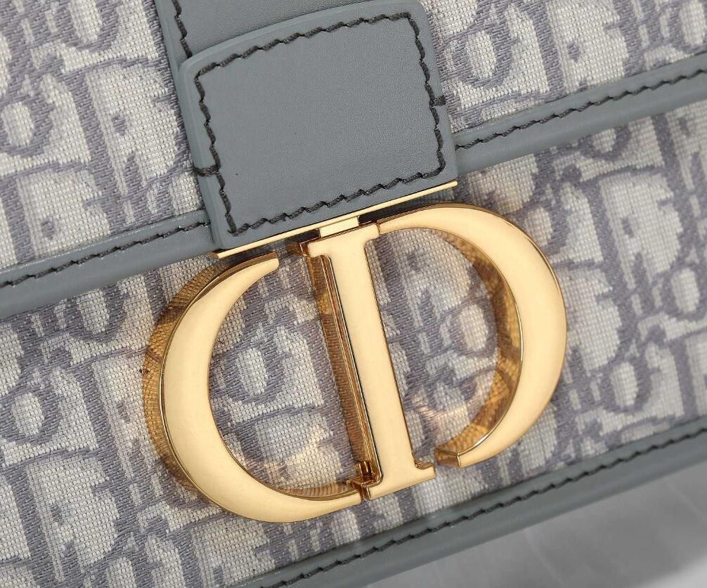 30 MONTAIGNE BAG Gray Dior Oblique Jacquard